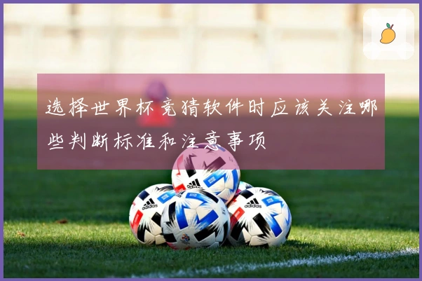 选择世界杯竞猜软件时应该关注哪些判断标准和注意事项