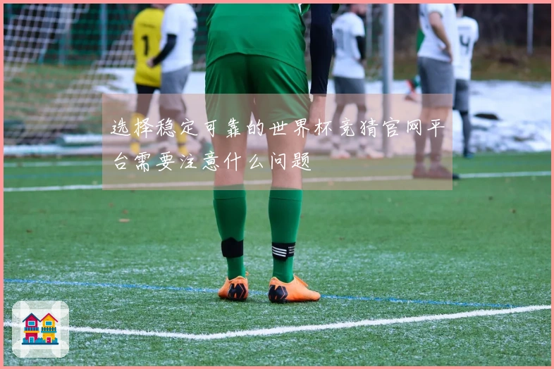 选择稳定可靠的世界杯竞猜官网平台需要注意什么问题