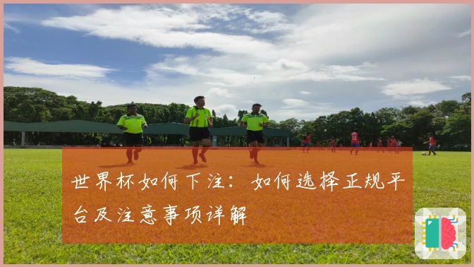 世界杯如何下注：如何选择正规平台及注意事项详解