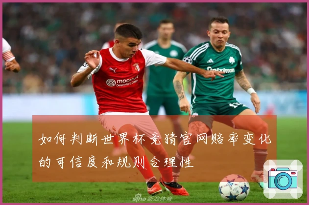如何判断世界杯竞猜官网赔率变化的可信度和规则合理性