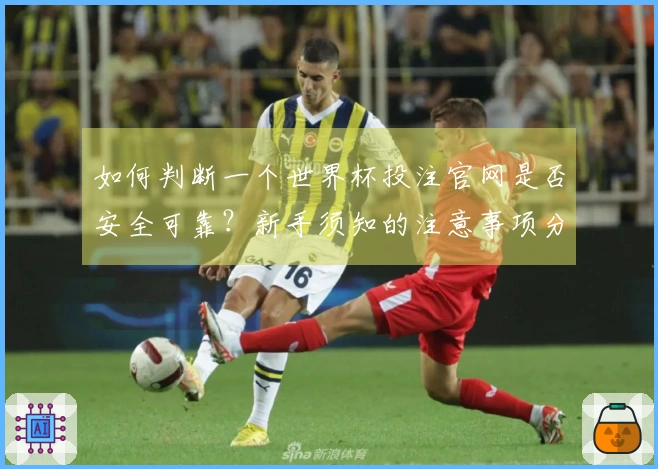 如何判断一个世界杯投注官网是否安全可靠？新手须知的注意事项分享