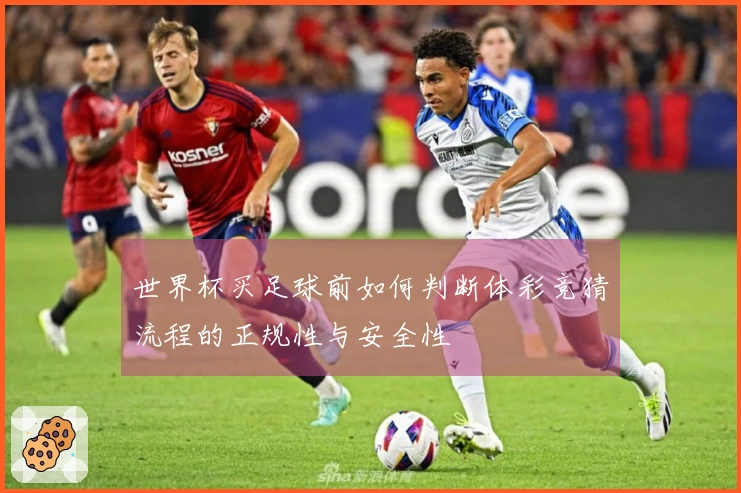 世界杯买足球前如何判断体彩竞猜流程的正规性与安全性