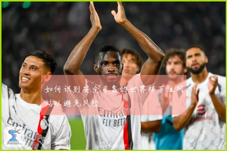 如何识别安全可靠的世界杯下注网站以避免风险