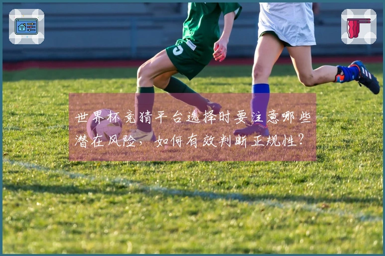 世界杯竞猜平台选择时要注意哪些潜在风险，如何有效判断正规性？