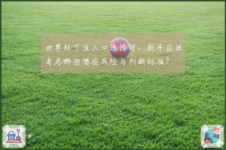 世界杯下注入口选择时，新手应该考虑哪些潜在风险与判断标准？