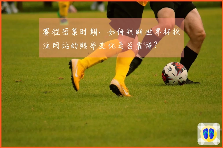 赛程密集时期，如何判断世界杯投注网站的赔率变化是否靠谱？