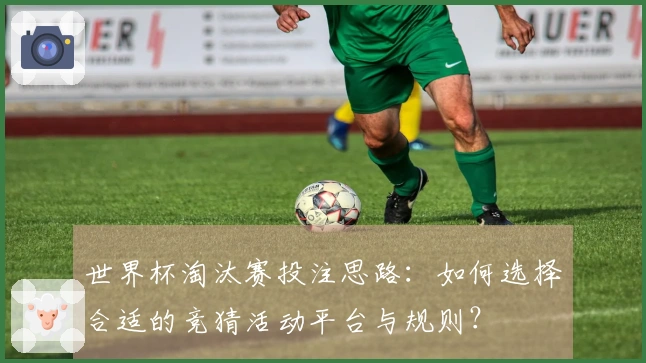 世界杯淘汰赛投注思路:如何选择合适的竞猜活动平台与规则?