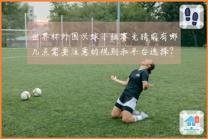 世界杯外围买球小组赛竞猜前有哪几点需要注意的规则和平台选择？
