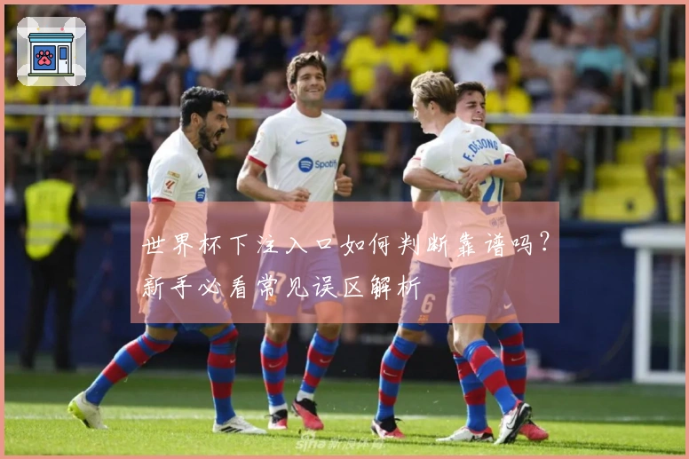世界杯下注入口如何判断靠谱吗?新手必看常见误区解析