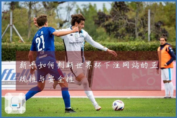 新手如何判断世界杯下注网站的正规性与安全性