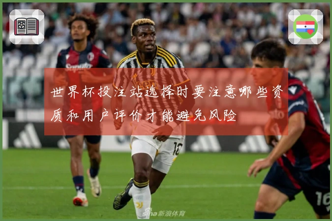 世界杯投注站选择时要注意哪些资质和用户评价才能避免风险