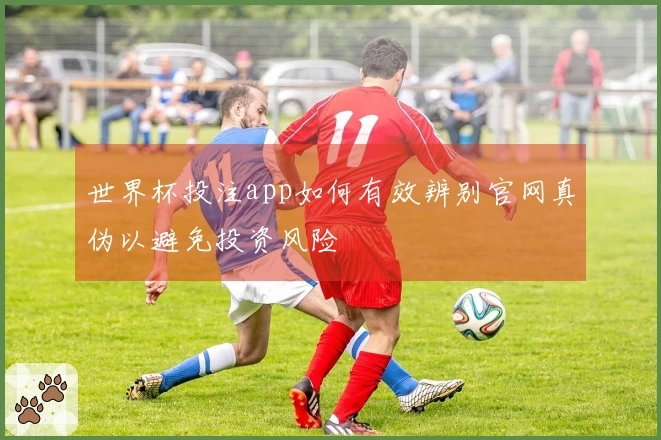 世界杯投注app如何有效辨别官网真伪以避免投资风险