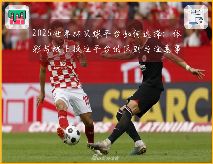 2026世界杯买球平台如何选择：体彩与线上投注平台的区别与注意事项