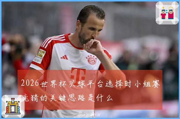 2026世界杯买球平台选择时小组赛竞猜的关键思路是什么