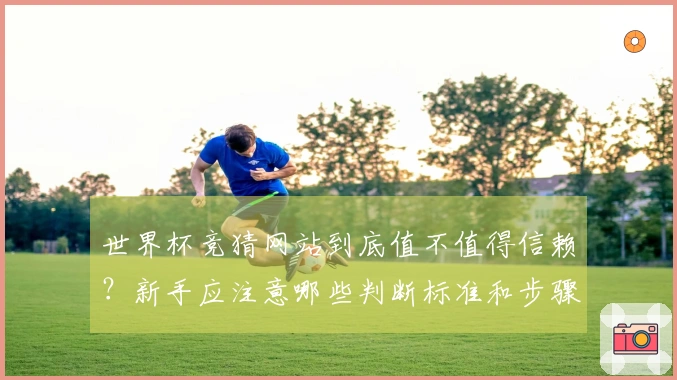 世界杯竞猜网站到底值不值得信赖?新手应注意哪些判断标准和步骤