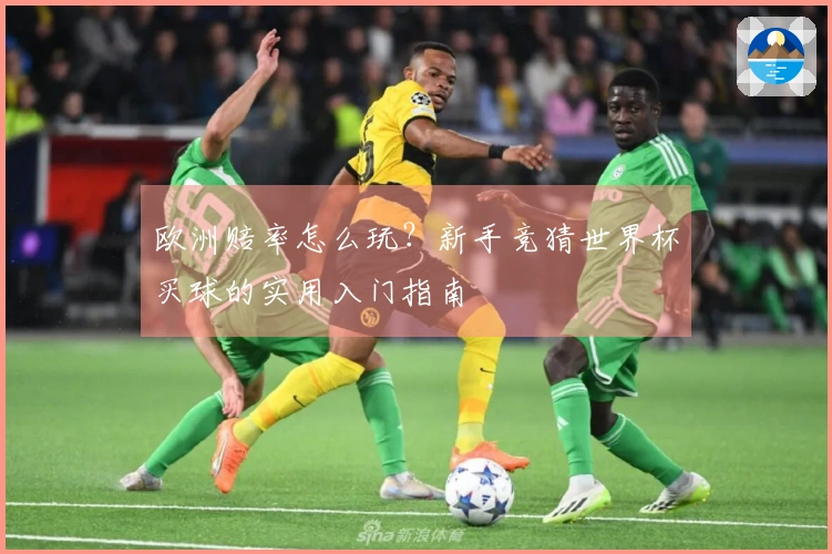 欧洲赔率怎么玩？新手竞猜世界杯买球的实用入门指南