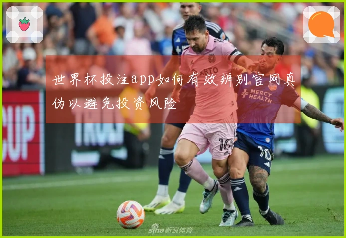 世界杯投注app如何有效辨别官网真伪以避免投资风险