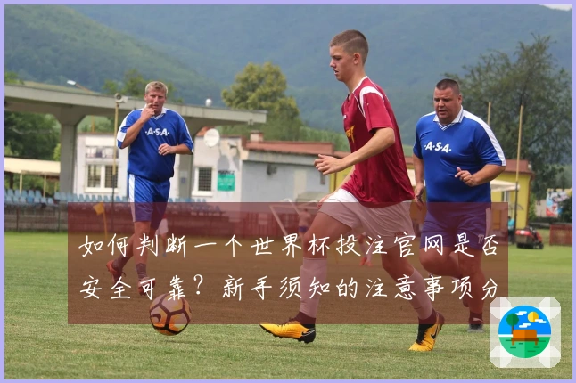 如何判断一个世界杯投注官网是否安全可靠？新手须知的注意事项分享