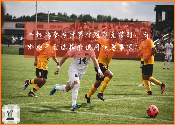 手机端参与世界杯冠军竞猜时，有哪些平台选择和使用注意事项？