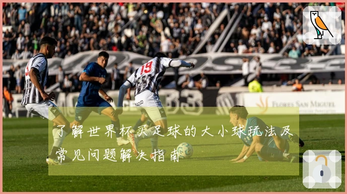 了解世界杯买足球的大小球玩法及常见问题解决指南