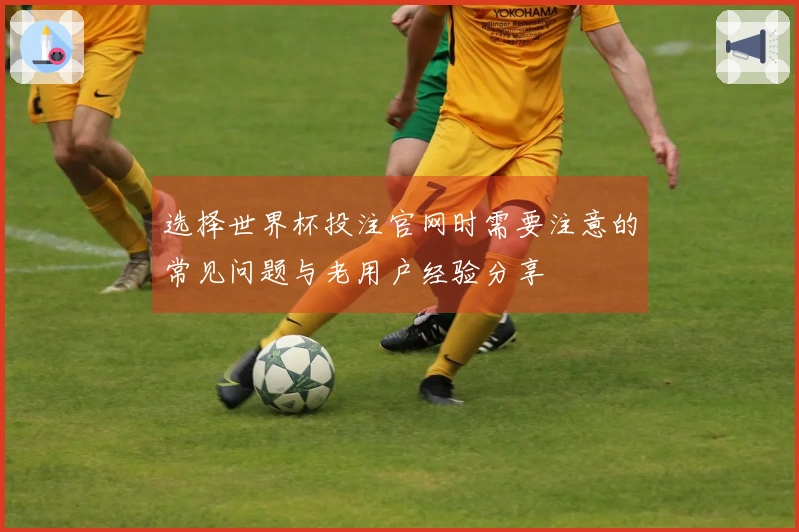 选择世界杯投注官网时需要注意的常见问题与老用户经验分享