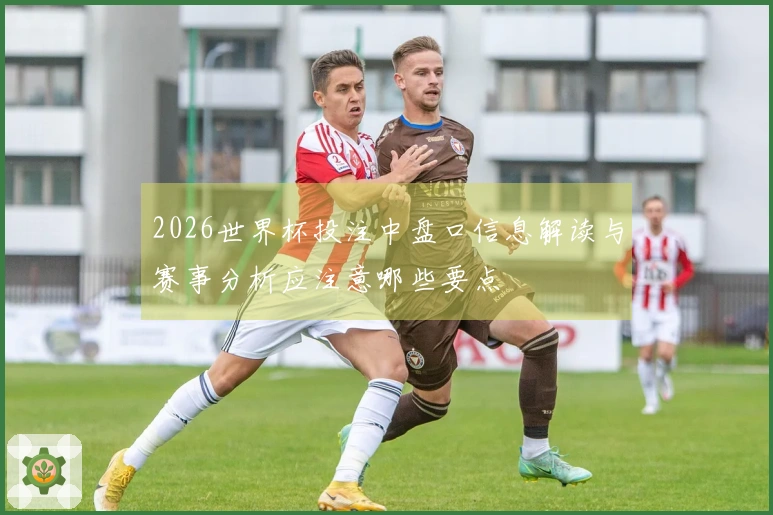 2026世界杯投注中盘口信息解读与赛事分析应注意哪些要点